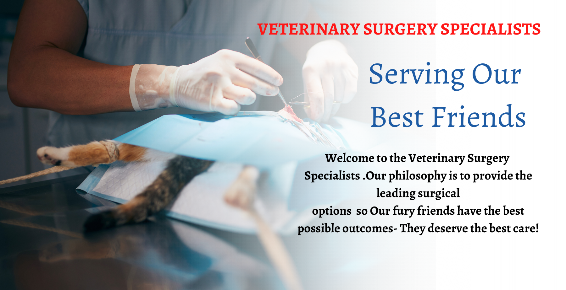 Veterinary Surgery Speicalists (1800 × 924 px) (1)