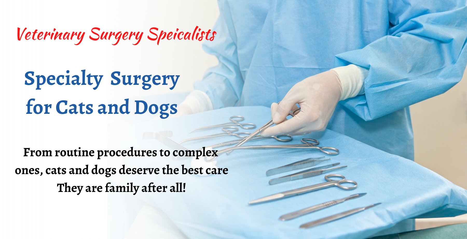 Veterinary Surgery Speicalists (1800 × 924 px)
