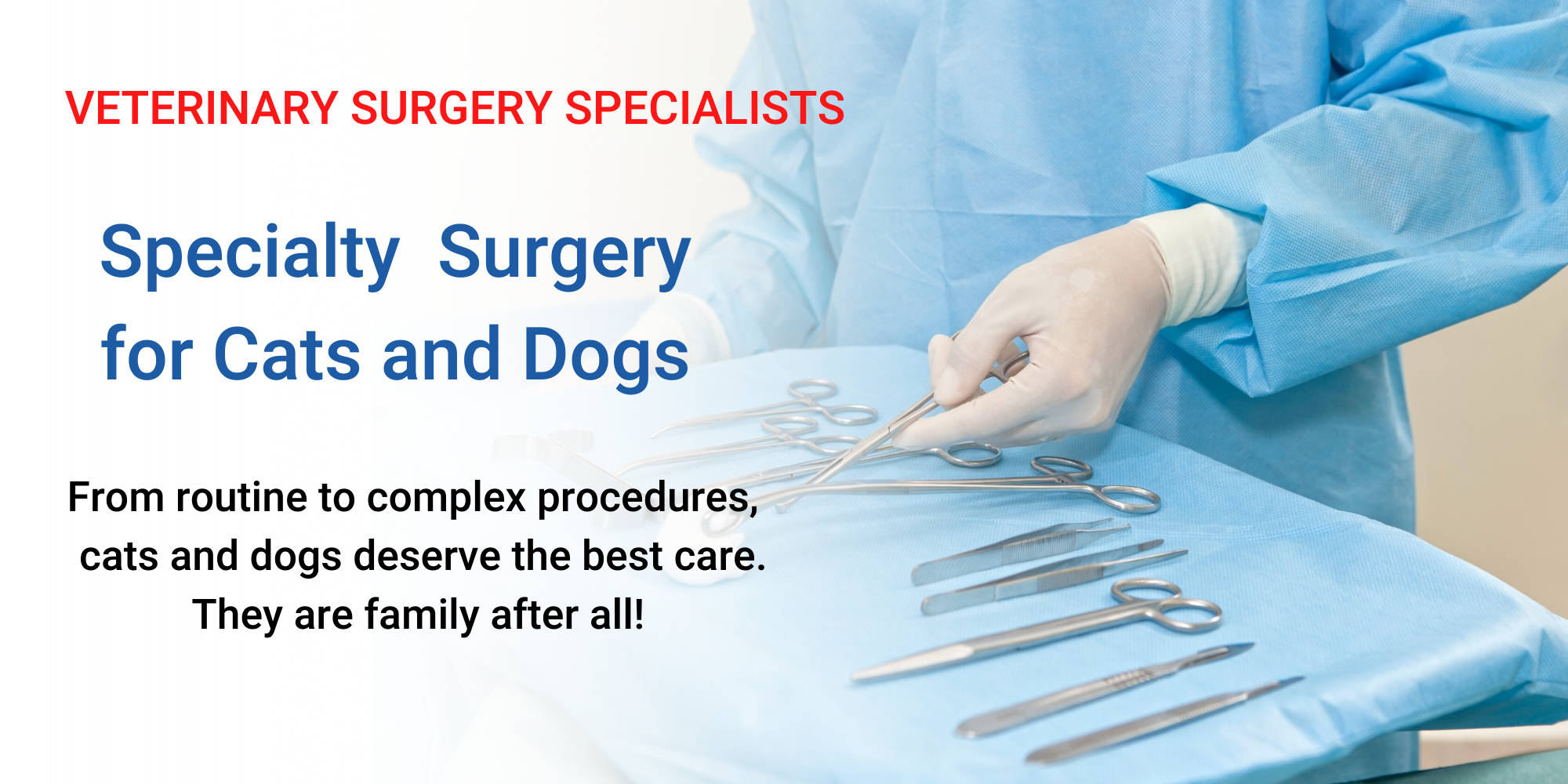Veterinary Surgery Speicalists (1800 × 924 px) (2000 × 1000 px) (1)