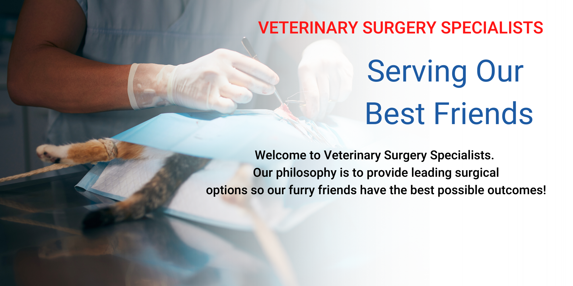 Veterinary Surgery Speicalists (1800 × 924 px) (2000 × 1000 px)