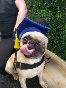 Bango Armstrong-Check