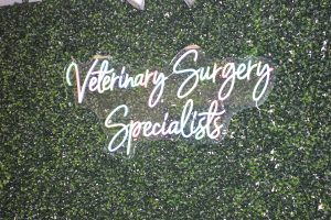 Veterinary Surgery Specialist light